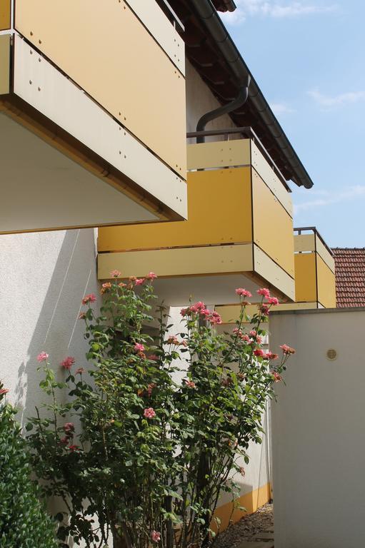 Hirschengarten Hotel Friburgo in Brisgovia Esterno foto