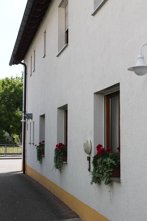 Hirschengarten Hotel Friburgo in Brisgovia Esterno foto