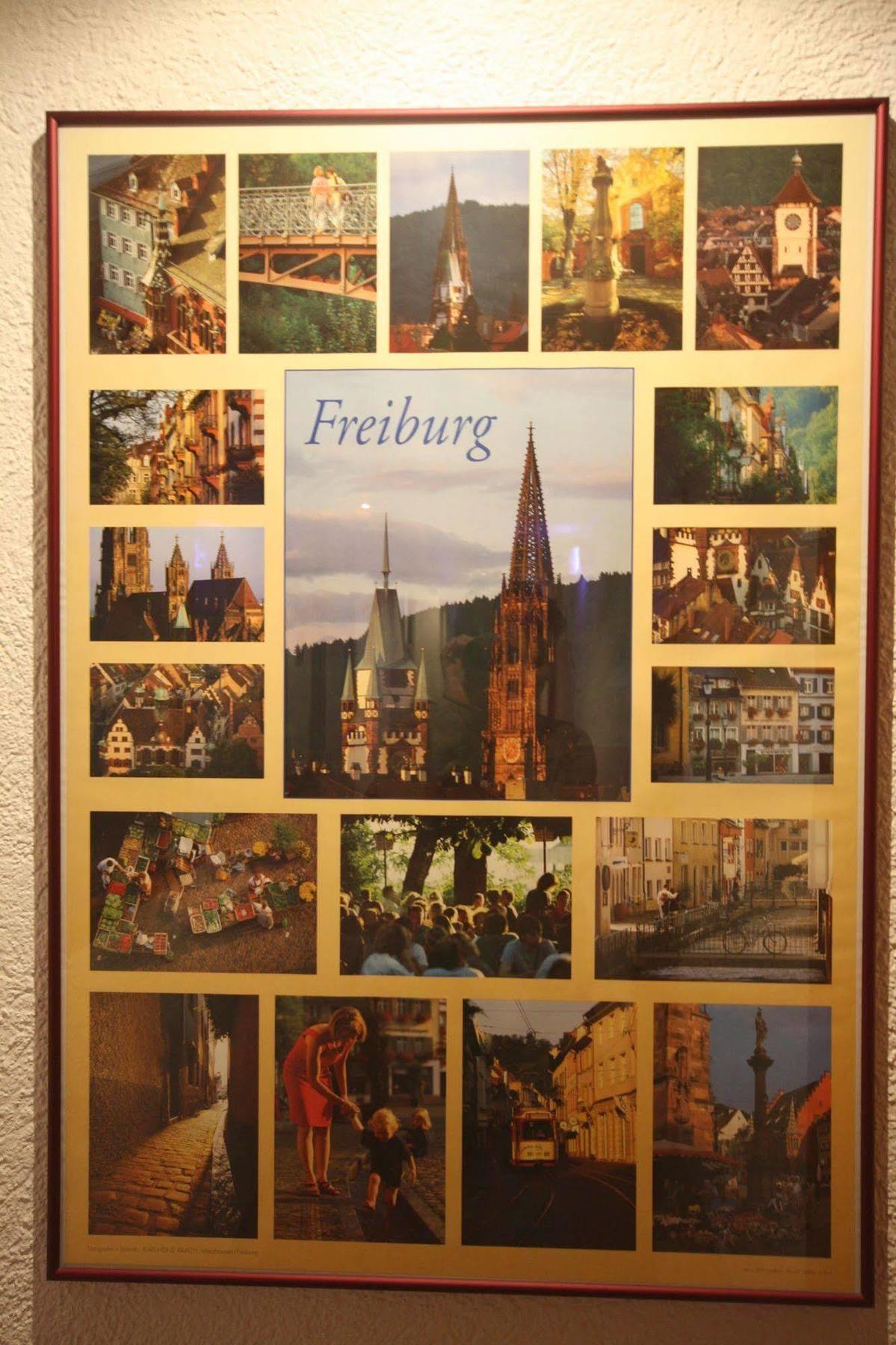 Hirschengarten Hotel Friburgo in Brisgovia Esterno foto